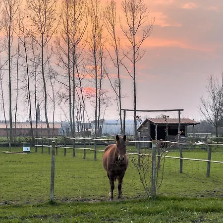 Farm stay Al Botteniga *